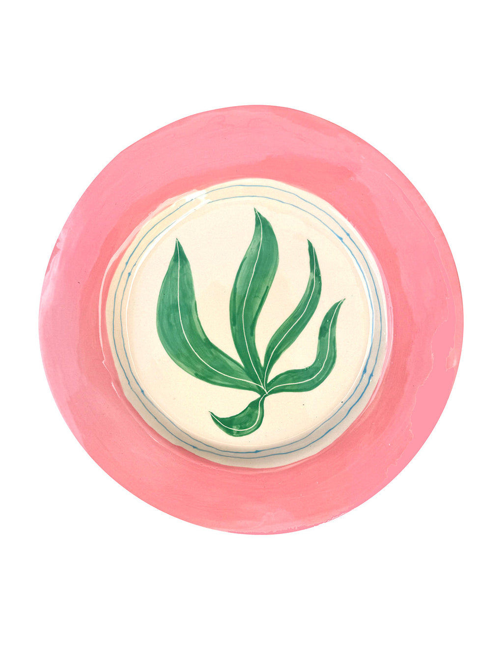 Green and pink Seaweed