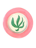 Green and pink Seaweed